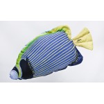 Gaby Emperor Angelfish